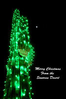 Sonoran Desert Christmas Cards