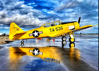 Yellow T6 Trainer