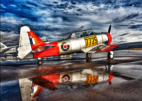 T6 Trainer in Reflecting Pool